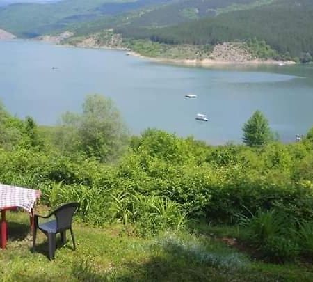 Vikendica Vidikovac Na Zavojskom Jezeru 皮罗特 外观 照片
