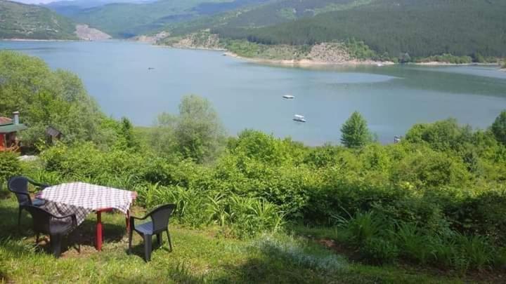 Vikendica Vidikovac Na Zavojskom Jezeru 皮罗特 外观 照片